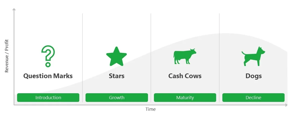 BCG Product Lifecycle